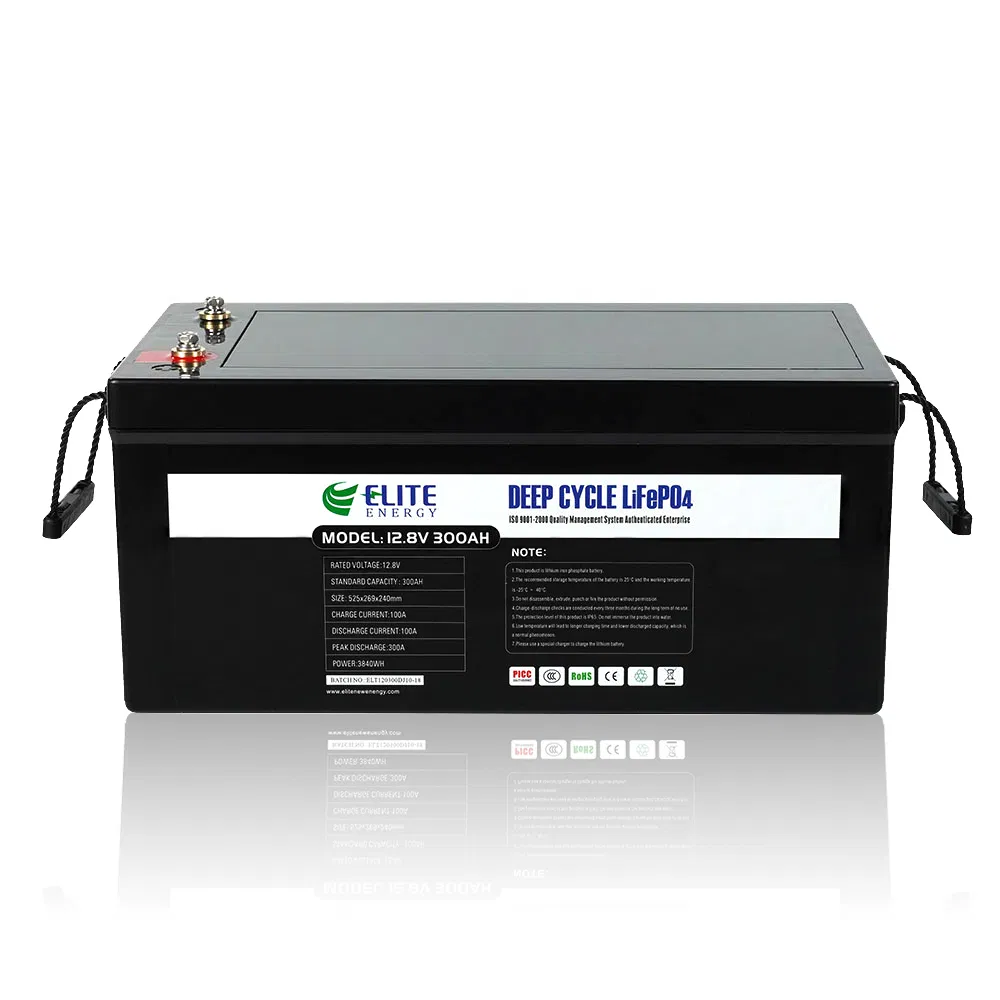 Elite 12V 100ah 200ah 300ah 400ah LiFePO4 RV Caravan Battery Li-ion Marine Boat Battery Lithium Wind Solar Battery with LED Display