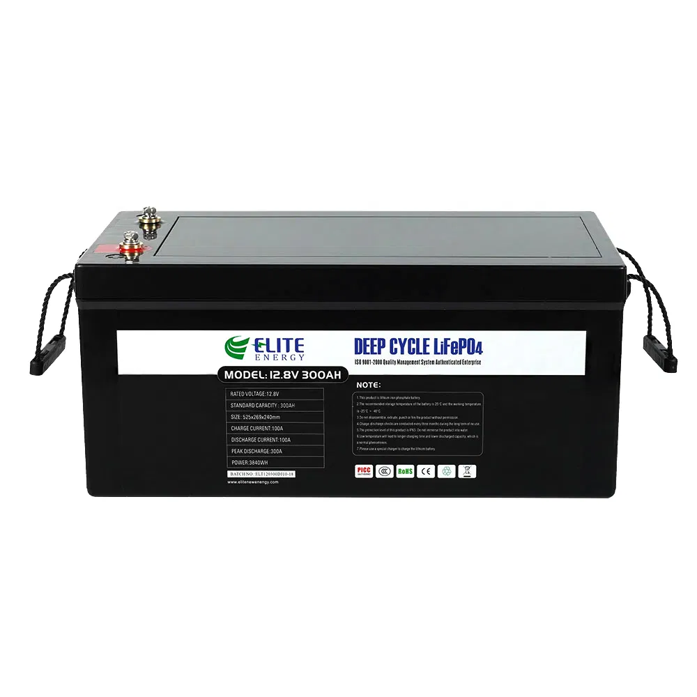 Elite 12V 100ah 200ah 300ah 400ah LiFePO4 RV Caravan Battery Li-ion Marine Boat Battery Lithium Wind Solar Battery with LED Display
