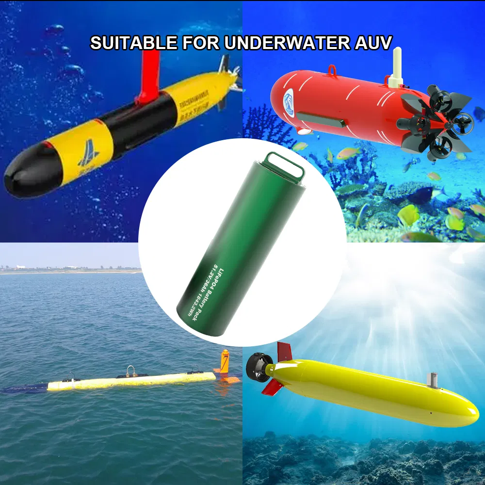 Rugged D48c 48V 100ah Deep Cycle Lithium Battery IP68 -20℃ to 60℃ Wide Temp 3000 Cycles 200A for Underwater Glider Marine Robotics Solar Storage
