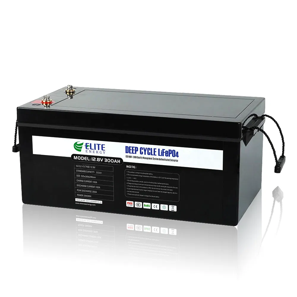 Elite 12V 100ah 200ah 300ah 400ah LiFePO4 RV Caravan Battery Li-ion Marine Boat Battery Lithium Wind Solar Battery with LED Display
