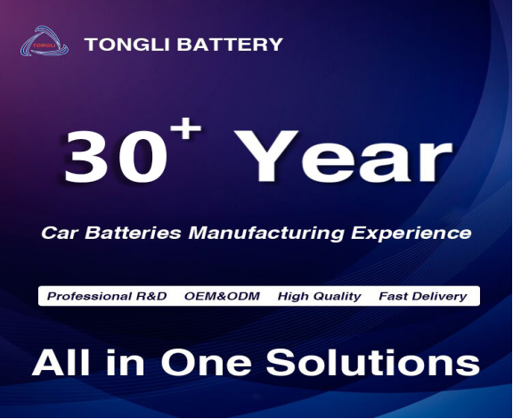 Maintenance Free Car Battery