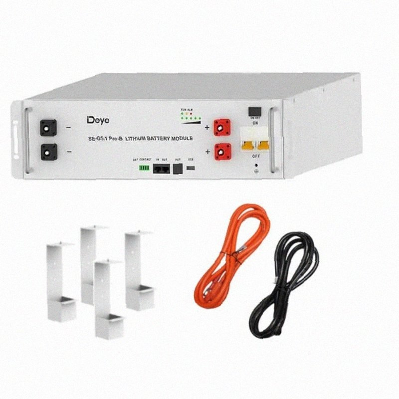 Deye Smart 51.2V Se G5.1 PRO LiFePO4 Battery with Advanced BMS Technology