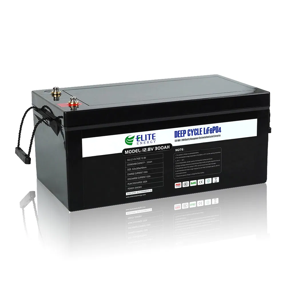 Elite 12V 100ah 200ah 300ah 400ah LiFePO4 RV Caravan Battery Li-ion Marine Boat Battery Lithium Wind Solar Battery with LED Display