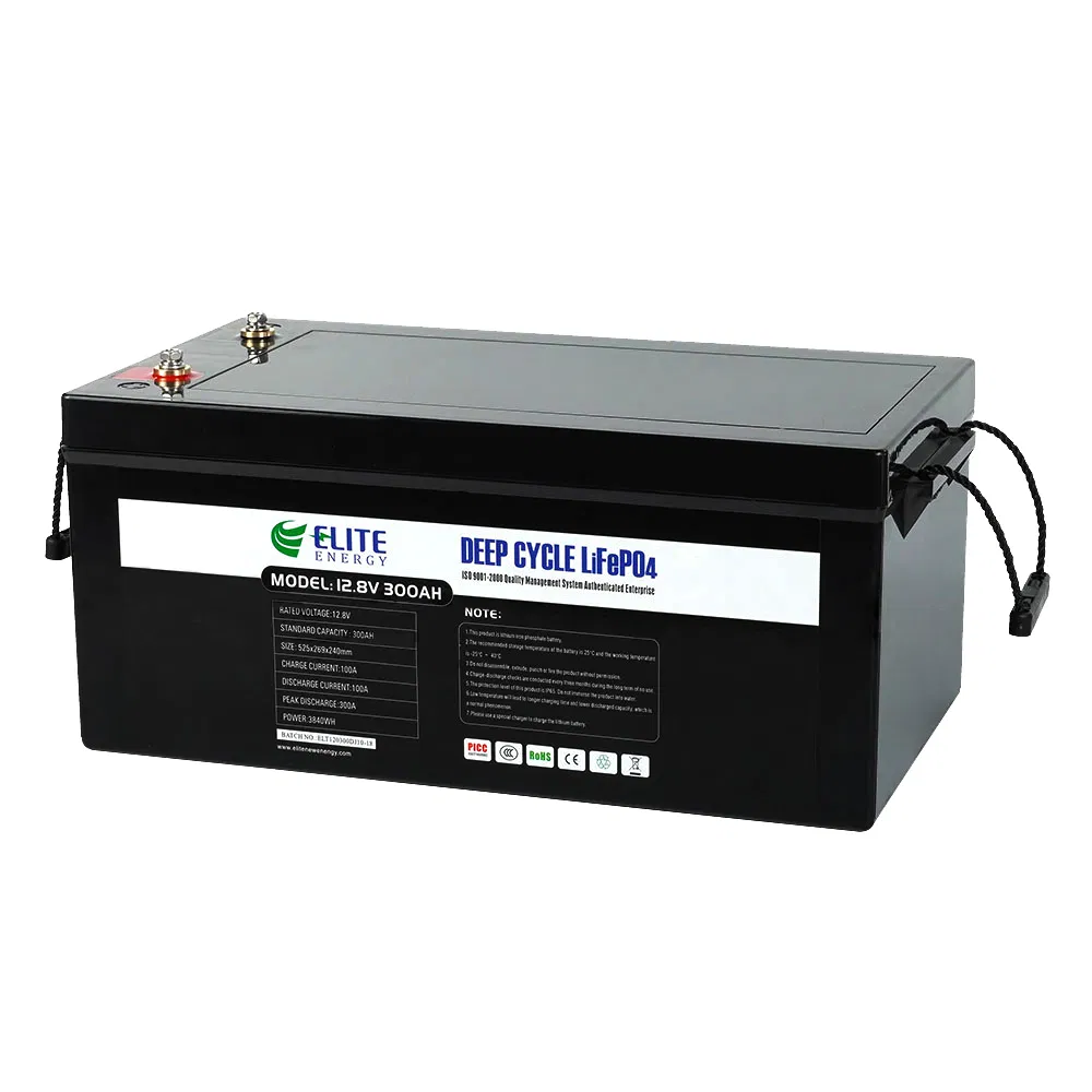 Elite 12V 100ah 200ah 300ah 400ah LiFePO4 RV Caravan Battery Li-ion Marine Boat Battery Lithium Wind Solar Battery with LED Display