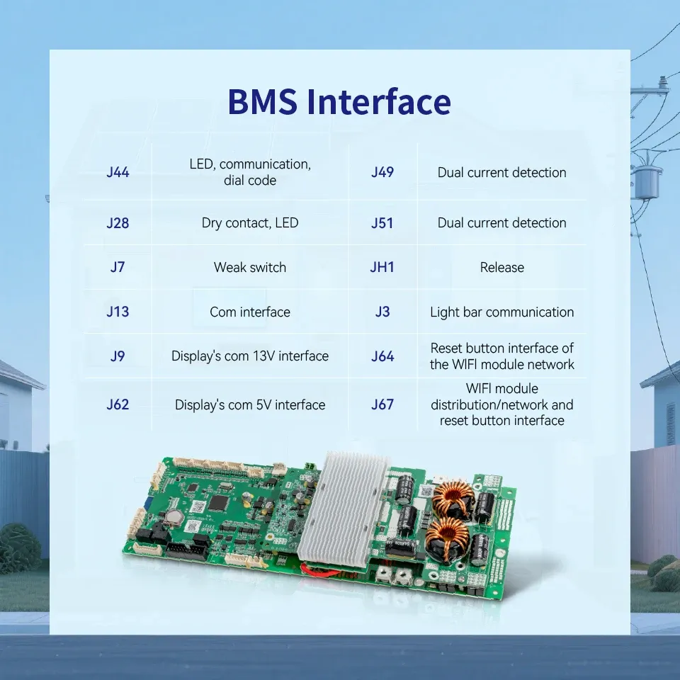 PACEex 16S100A LiFePO4 BMS with Multi-Protection PCB-Reliable Safe Energy Storage Battery Management System for Your Devices