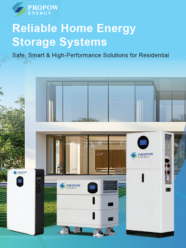 ESS 16kWh Solar Power Wall Energy Storage Lithium Ion Rack Mounted 51.2V 314Ah Lifepo4 Cell Battery Backup 8000+ Long Cycle Life