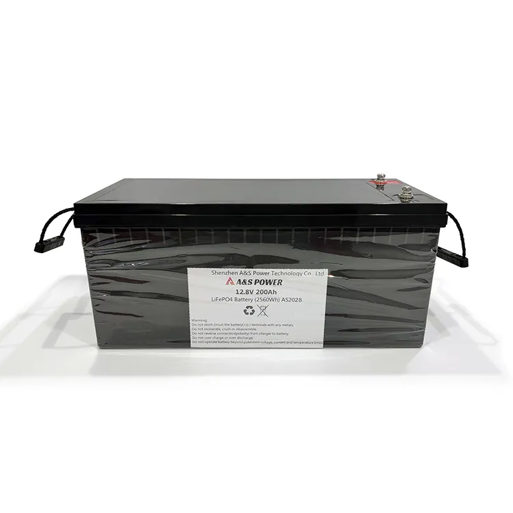 LiFePO4 Battery 1
