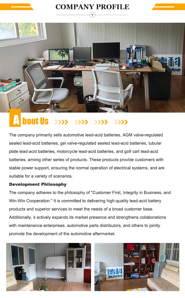 Company overview