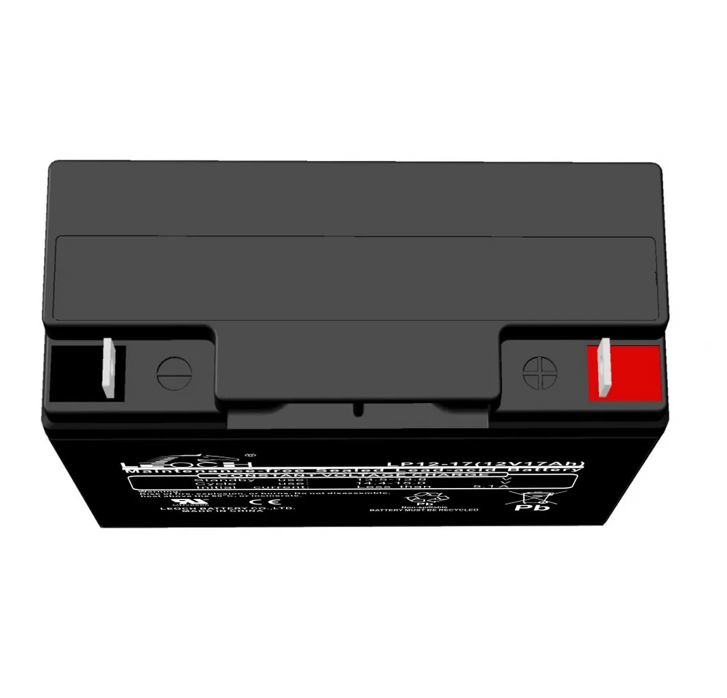 Leoch Lead-Acid Battery View 4