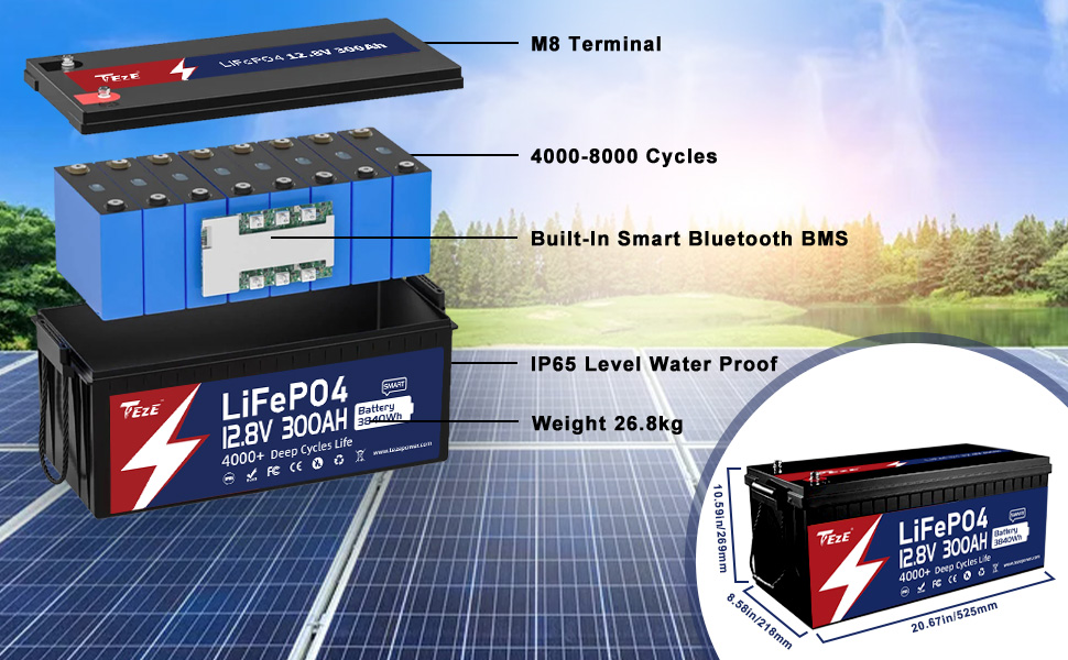 LiFePO4 Lithium Battery Management System