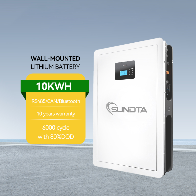 Fast Shipping Stock Solar Battery 48V 51.2V 100Ah 200Ah 5kWh Wall Mounted LiFePO4 Local Warehouse