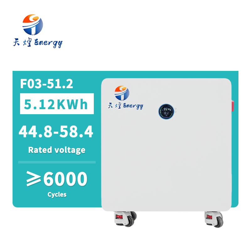 Most Popular Split Hybrid Grid Wheeled Home Storage 16kWh LiFePO4 Battery 51.2V 314Ah