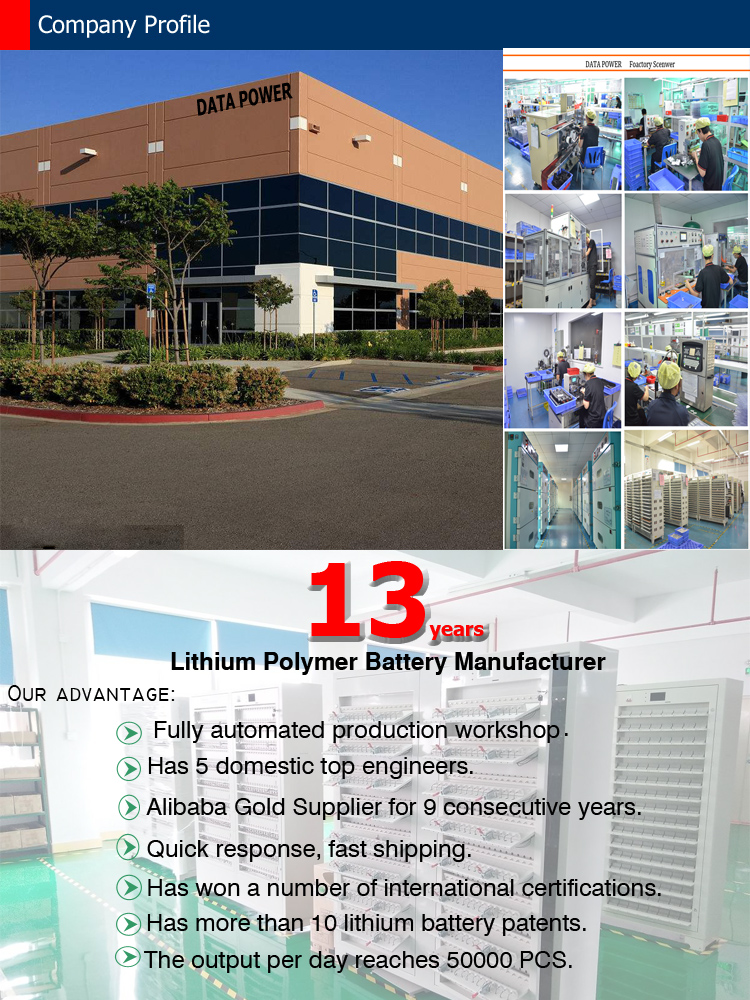 Related Lithium Battery Cell Product 3