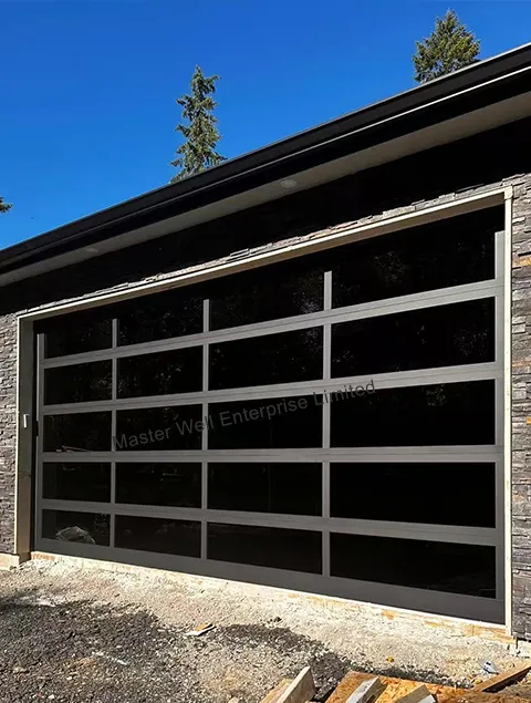 Glass Garage Door 2