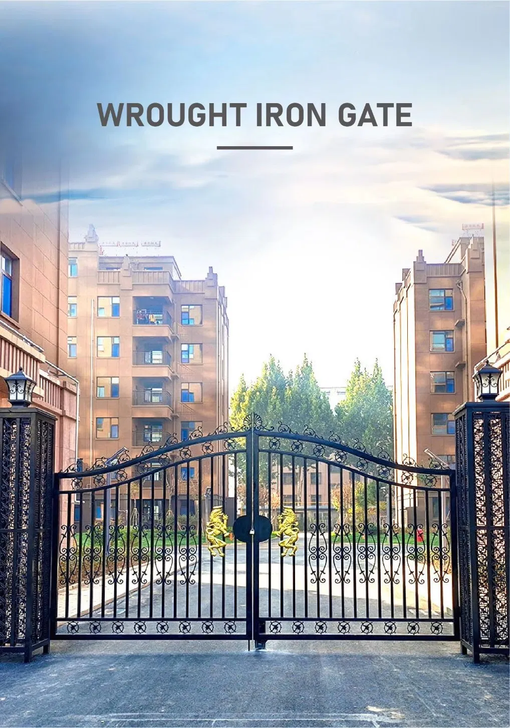 Luxury Black Metal Wrought Iron Gate