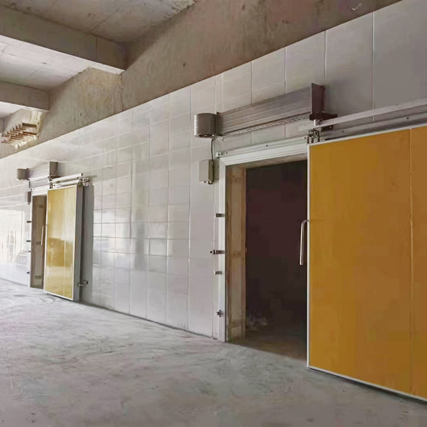 Industrial Vertical Lifting Simple Operation Profiles Swing Lift Room Sliding Freezer Sectional Galvanized Cold Storage Door