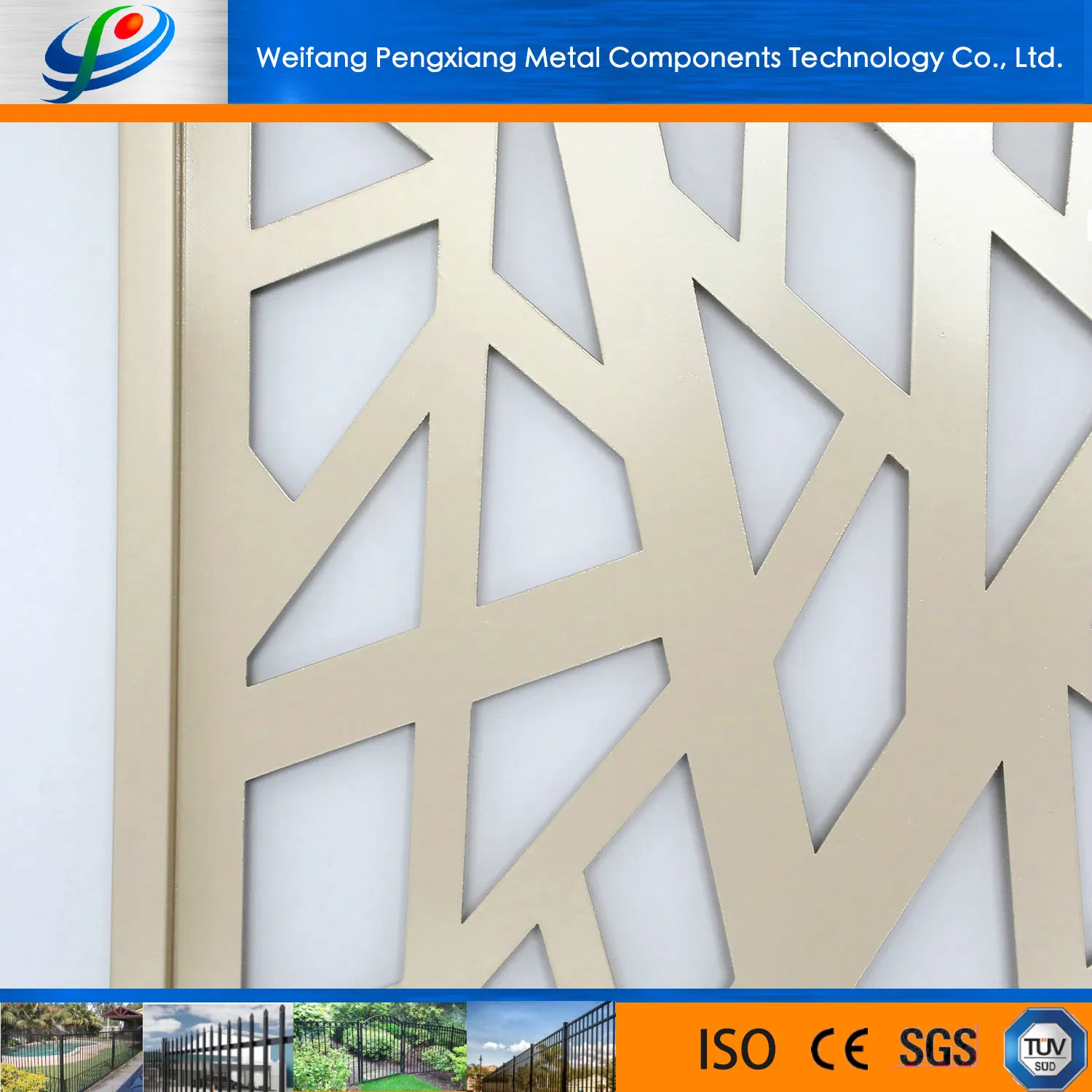 China Automatic Swing Sliding Wrought Driveway Iron Gate