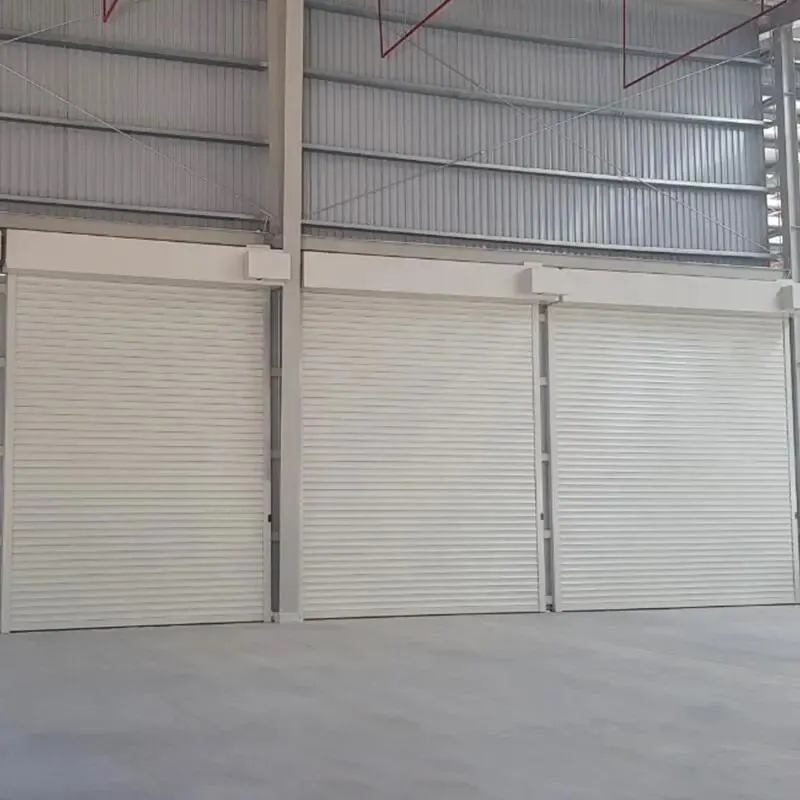 Frosted Glass Garage Door