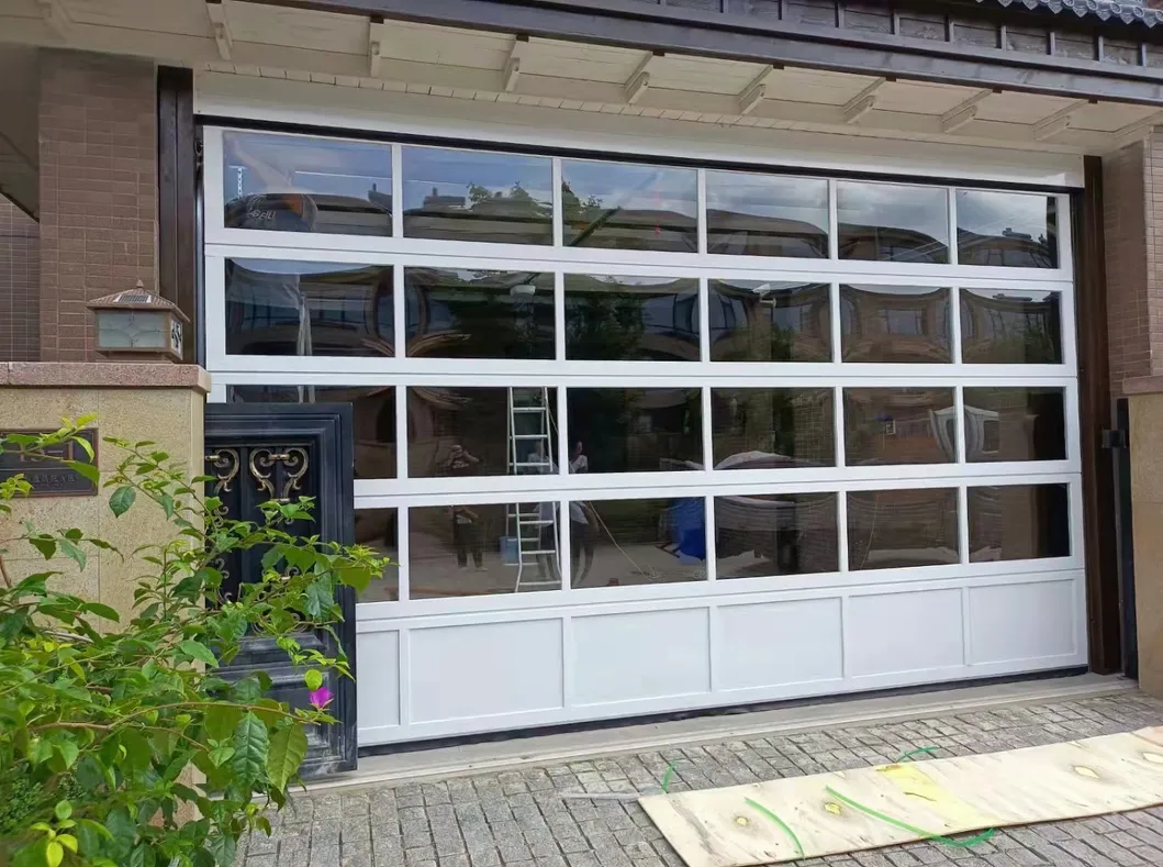 Clear Panoramic Garage Door