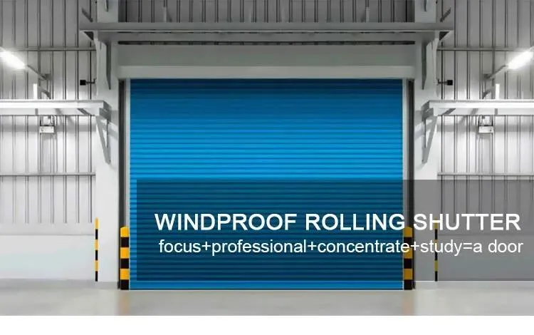 Automatic Sectional Overhead Roller Garage Door