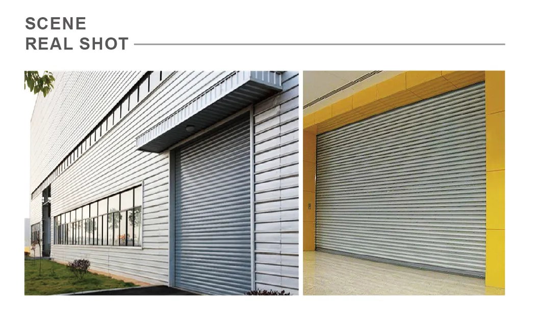 Roller Shutter Detail 1
