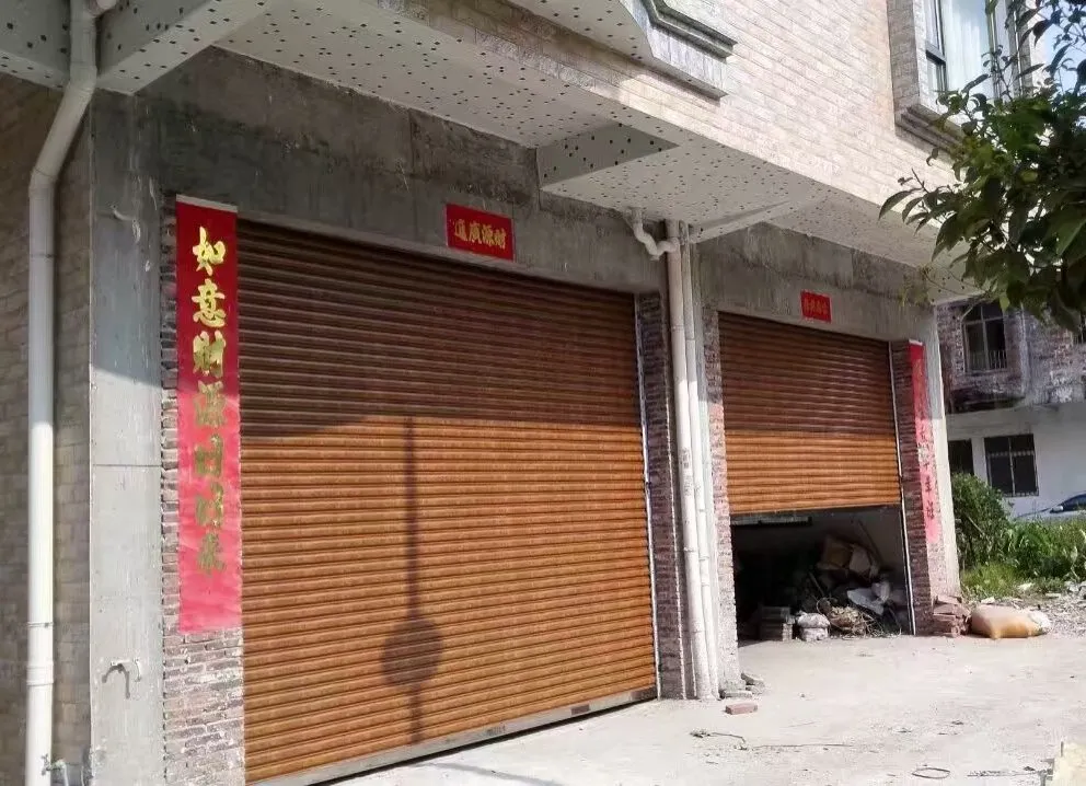 Commercial Shutter Door