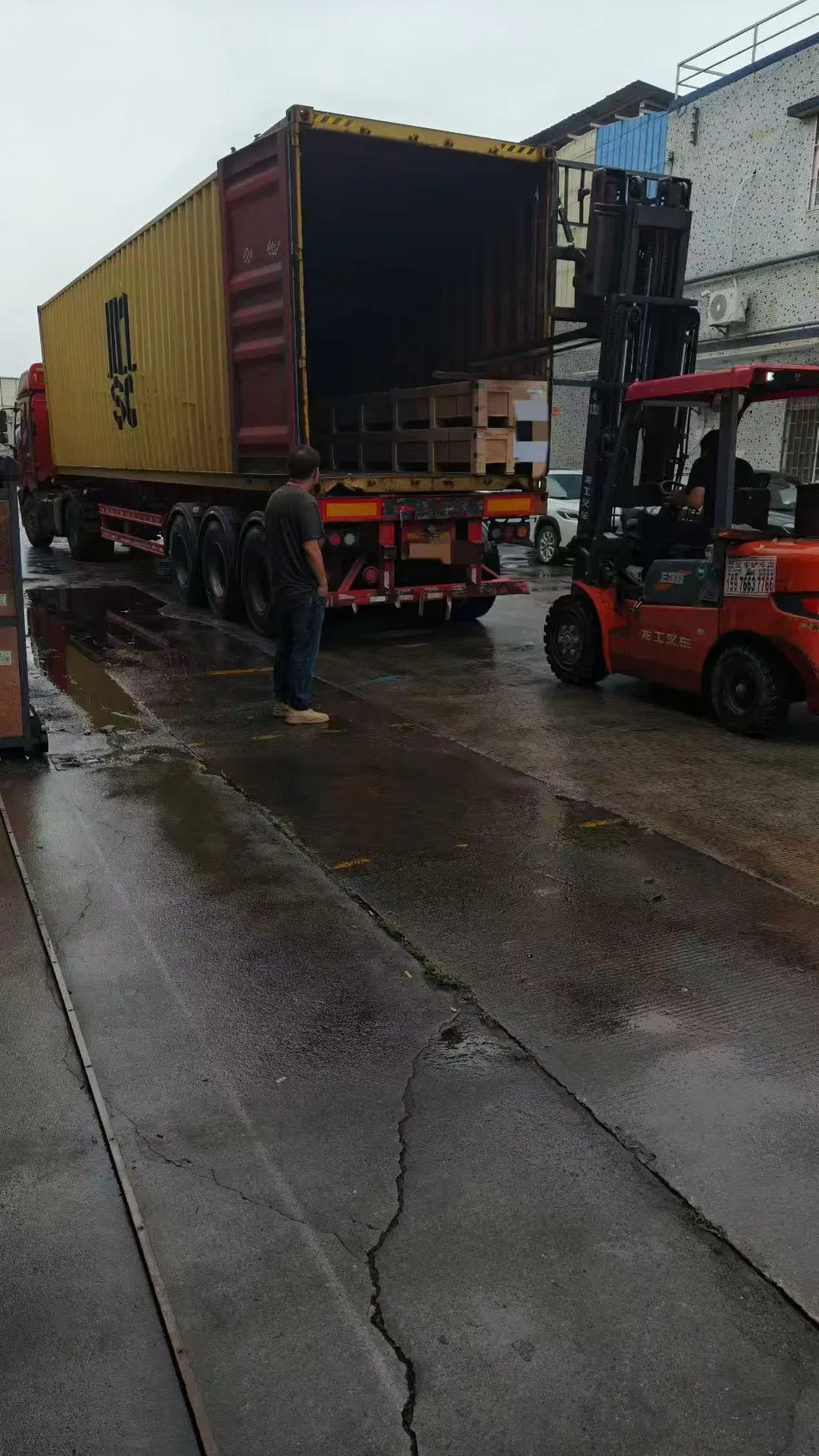 Professional Packaging Service