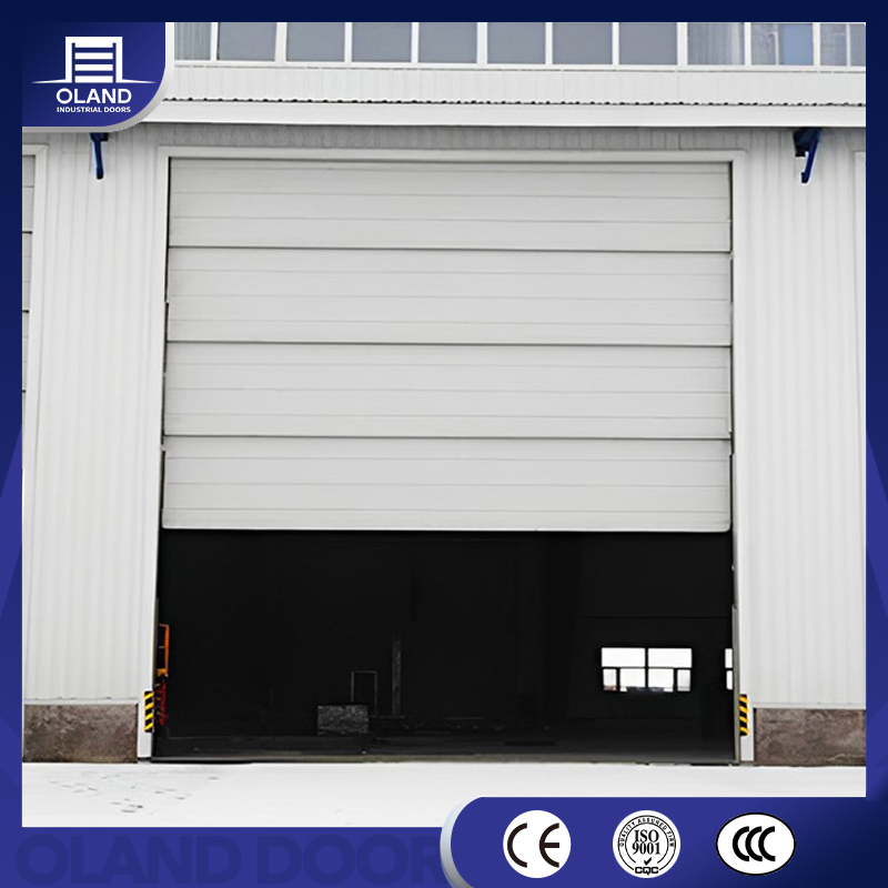 Hot Selling Sandwich Panel Modern Design Residential Manufacturer Overhead Insulated Industrial Sectional Garage Door