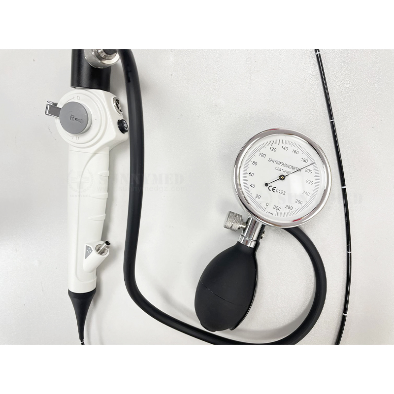 Sy-P029-3 Flexible Video Endoscope Ureteroscope Urology Flexible Endoscopy Camera Vets