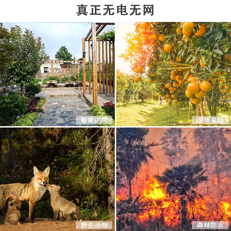 Hunting Camera Feature 7