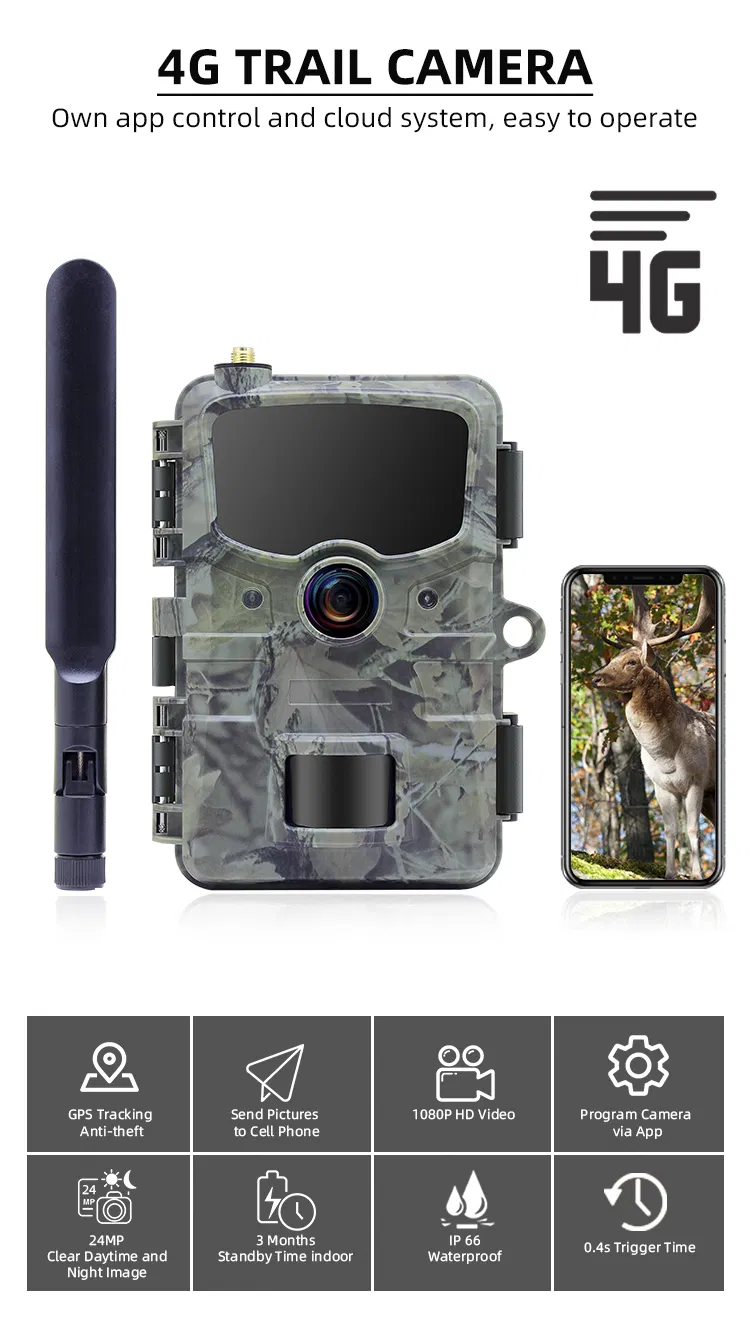 Trail Camera RD3069 View 6