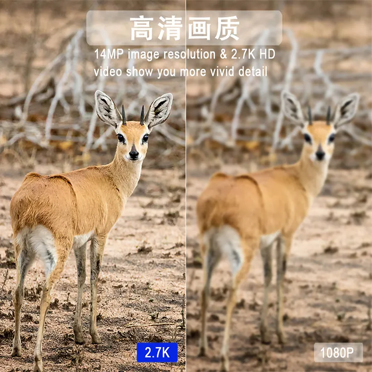 Hunting Camera Feature 8