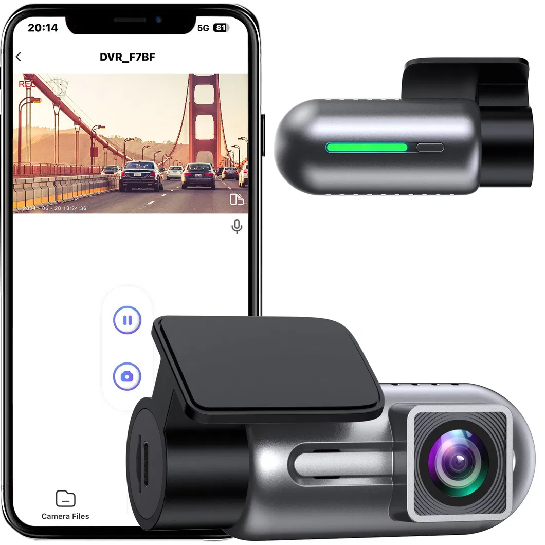 Dash Camera View 6