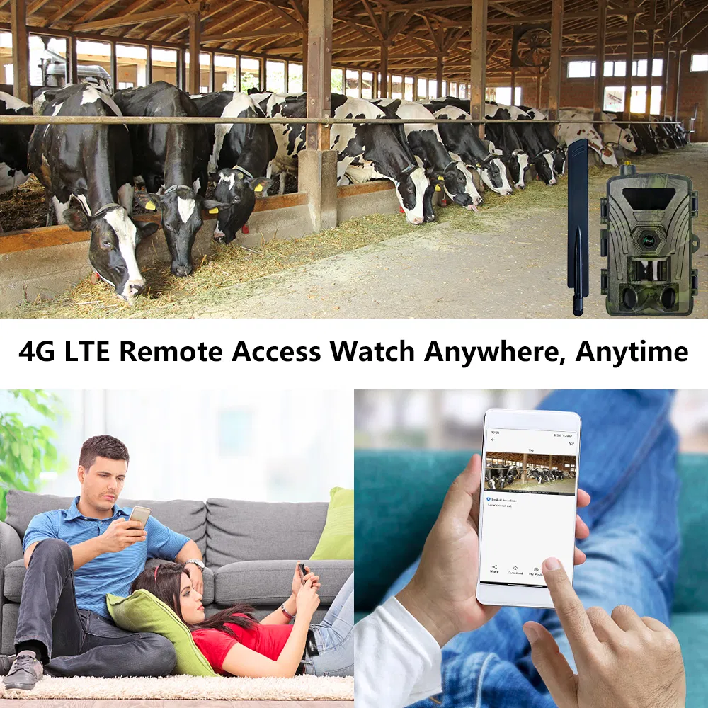 Wildlife Trail Camera View 2