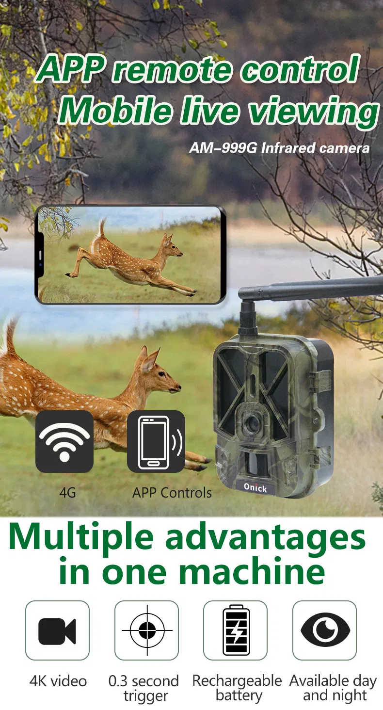 Wildlife Camera 1