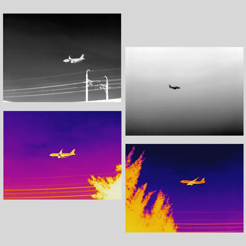 Thermal Imaging View