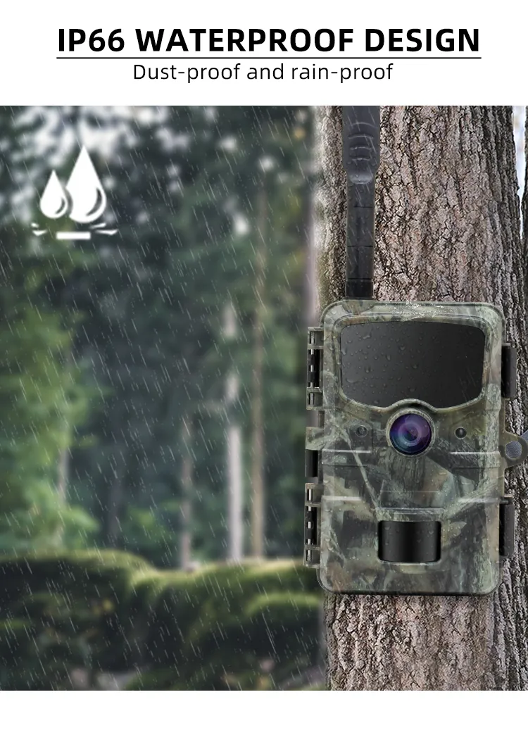 Trail Camera RD3069 View 10