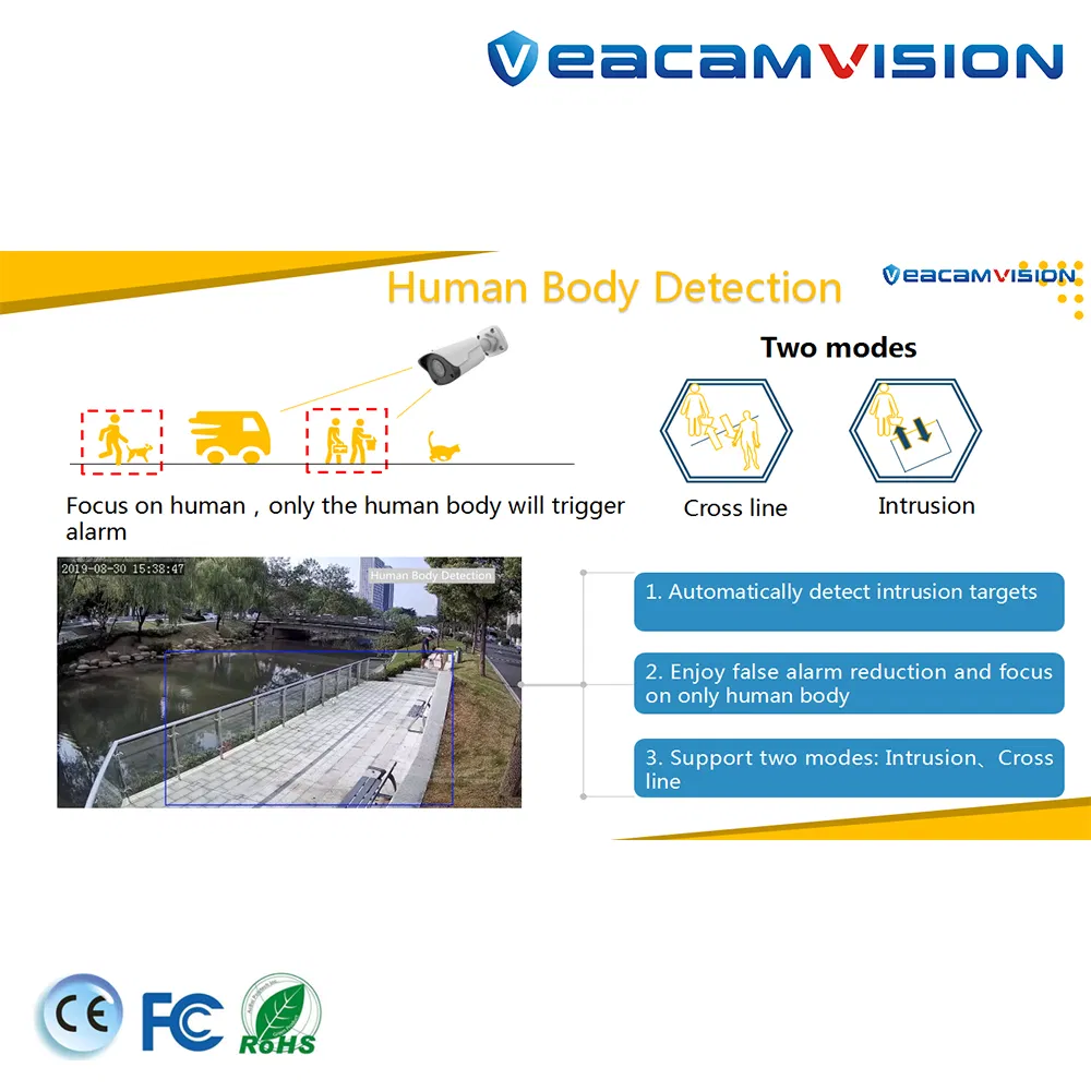 Security Camera Detail