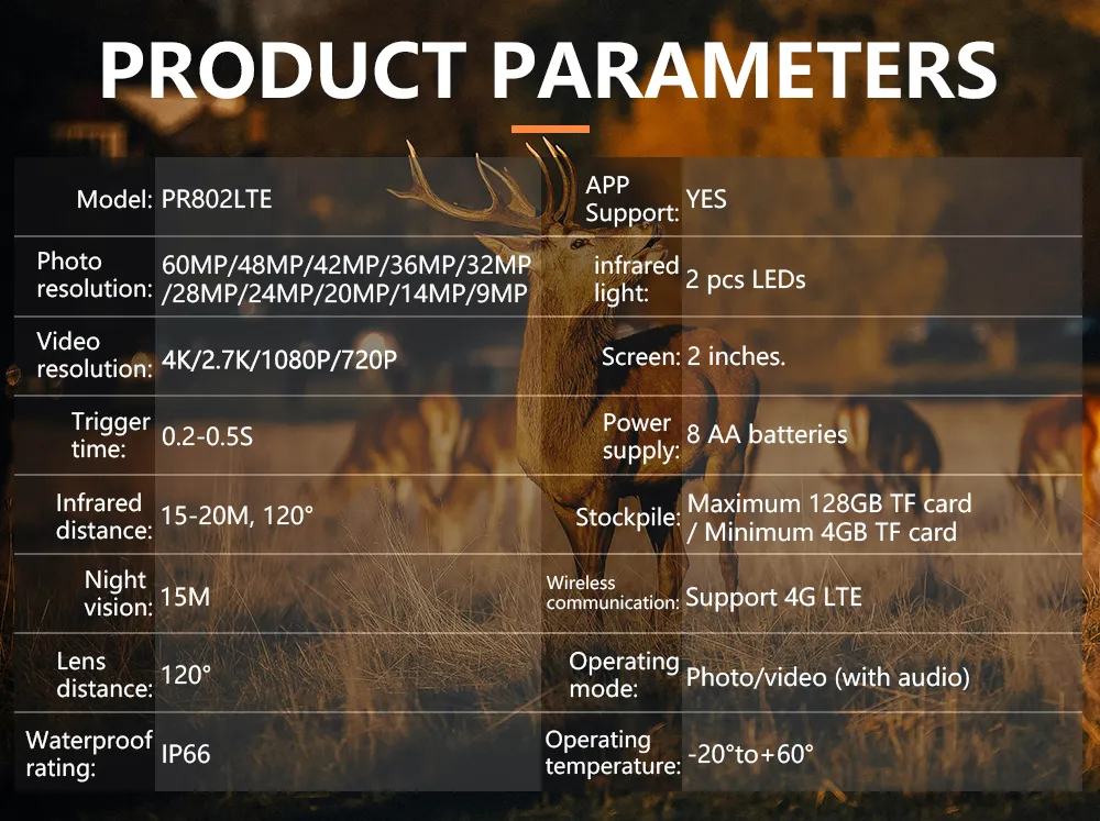 Wildlife Trail Camera View 7