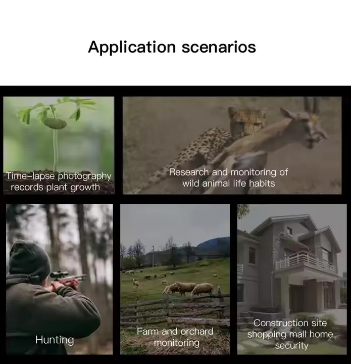 Hunting Camera View 6