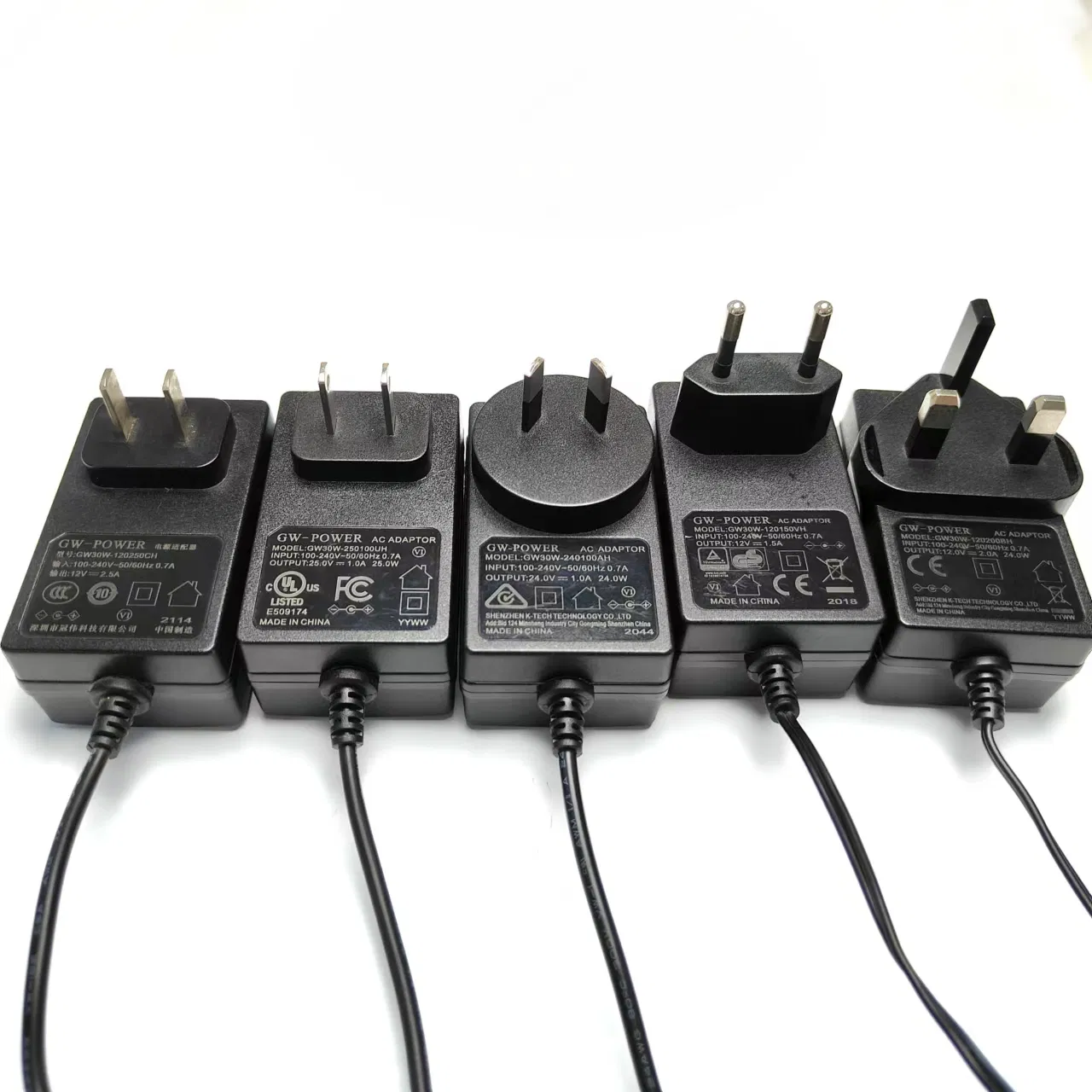 Interchangeable Plug Type Wall Mount Power Adapter with Worldwide Approved Certifications