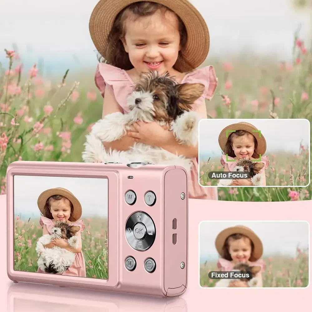 Digital Camera Display