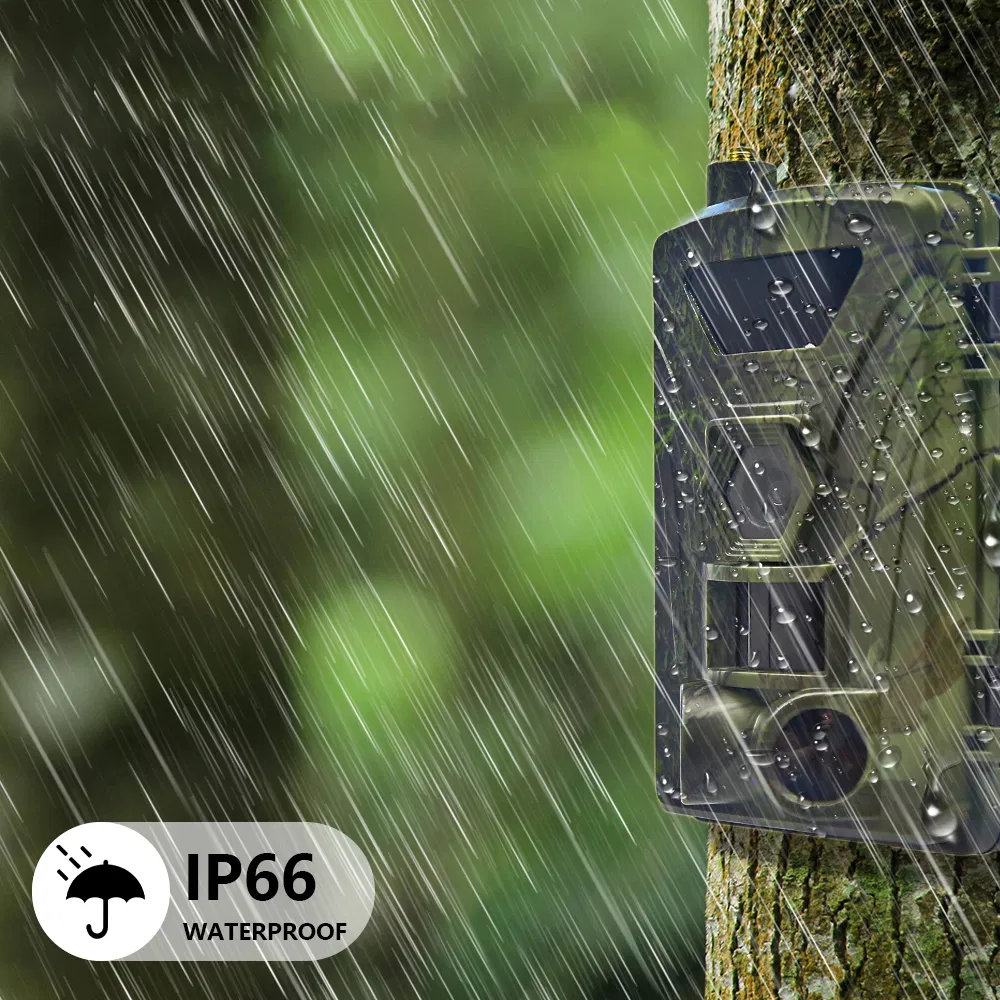 Wildlife Trail Camera View 3