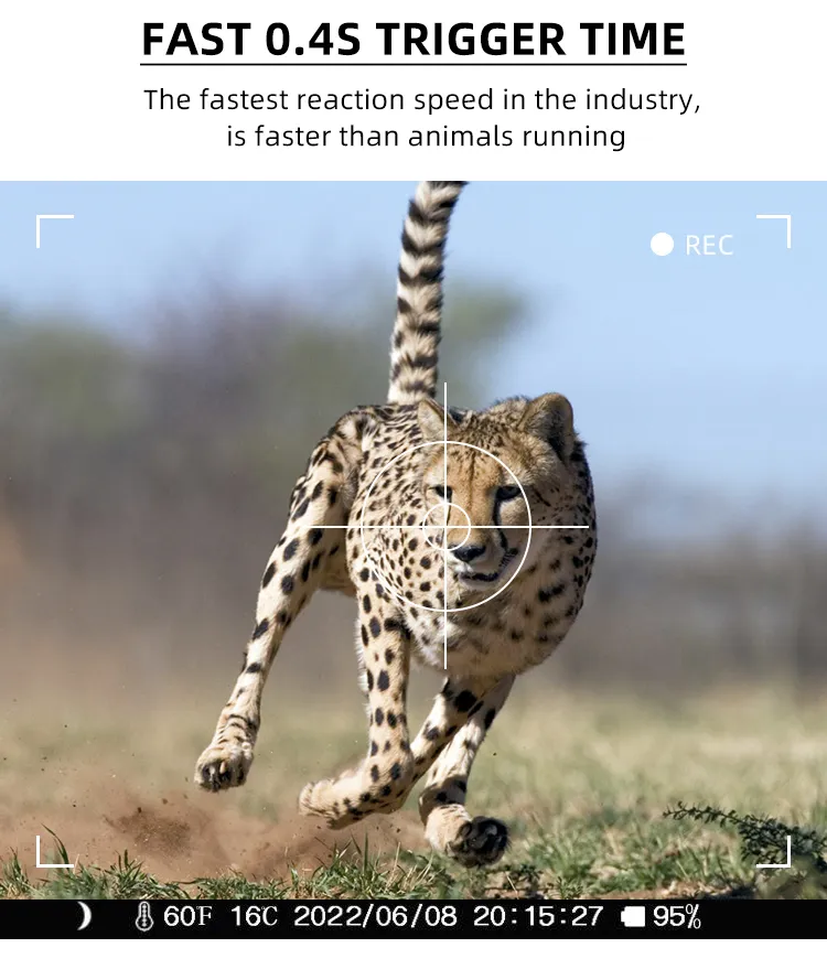 Trail Camera RD3069 View 11