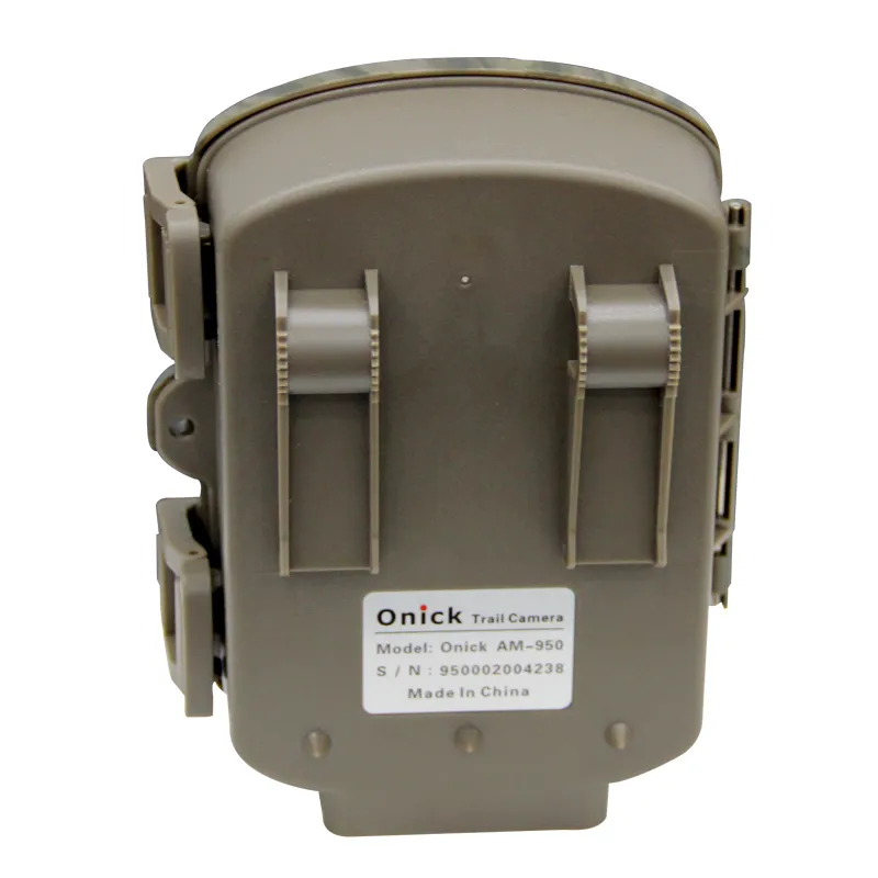 Wildlife Camera View 4