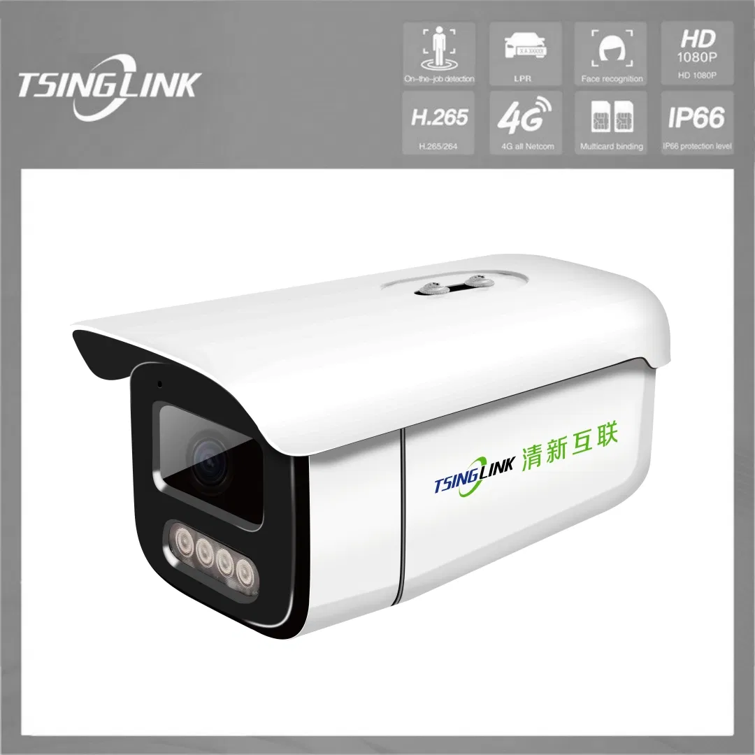 Super Starlight 4.0 Megapixel 2K IR DC12V Face Recognition Lpr Microphone WDR Bullet CCTV Security Network IP Camera