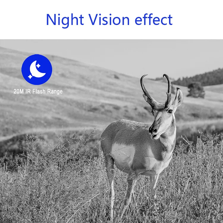 Hunting Camera Feature 4