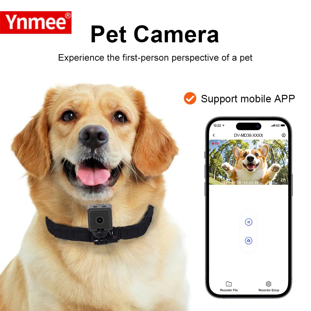 New MD38 Pet Camera Magnetic Pocket Camera Action DV Smart Wearable Camera Dog and Cat Walking Recorder