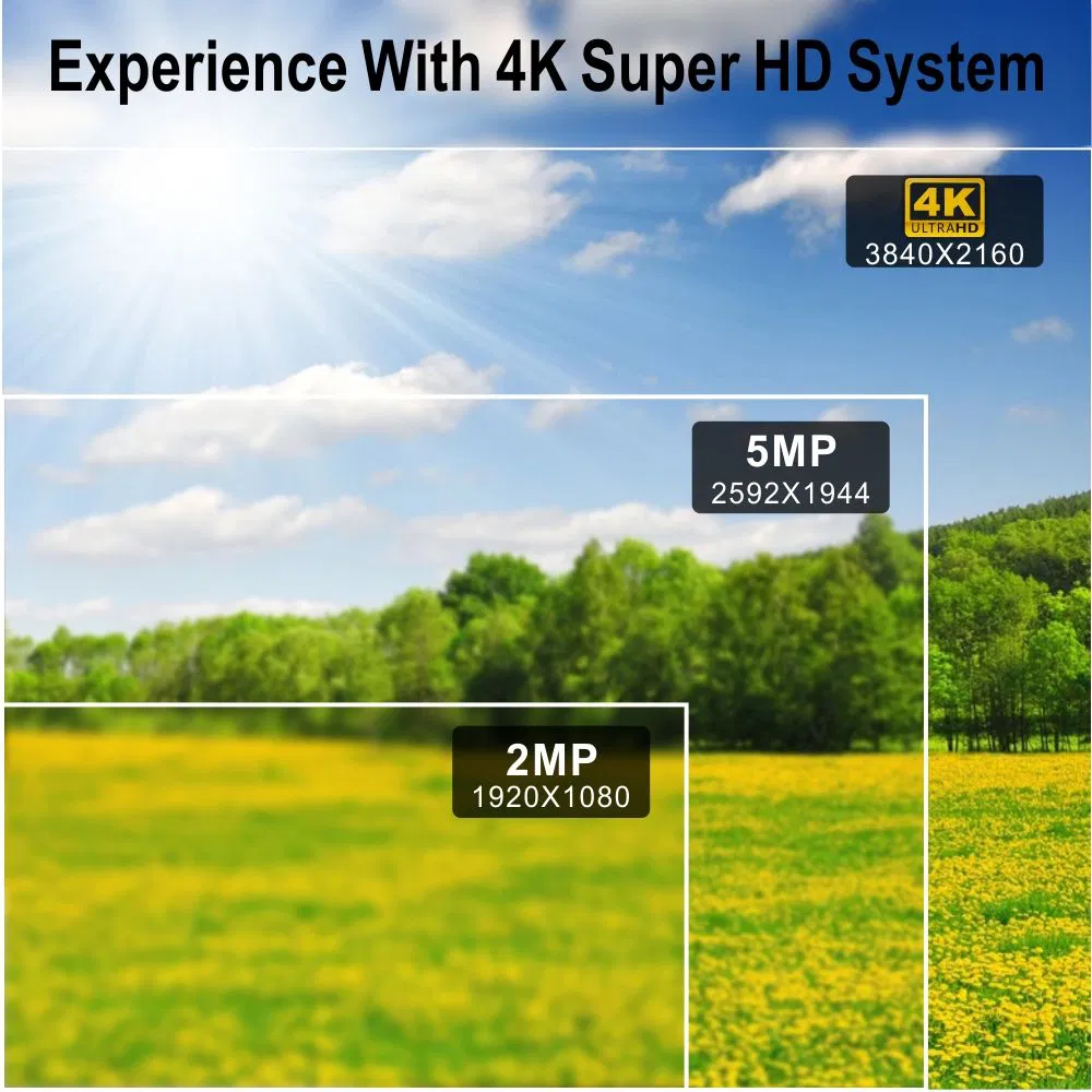 Security Camera View 2