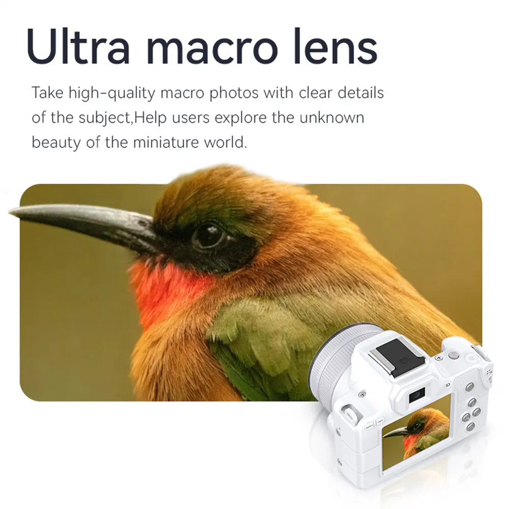 D11 Mini Camera Sensors